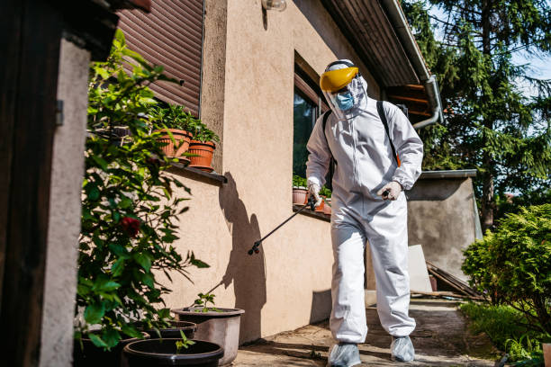 Best Pest Prevention Services  in Fairfax, CA