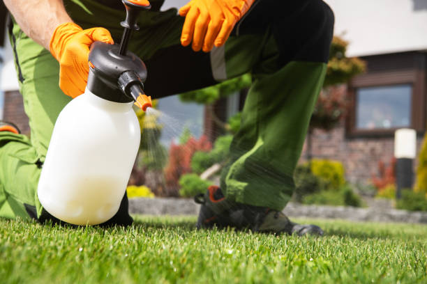 Best Local Pest Control Services  in Fairfax, CA