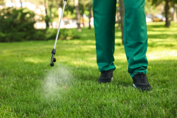 Best Best Pest Control Near Me  in Fairfax, CA