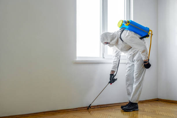 Best Emergency Pest Control  in Fairfax, CA