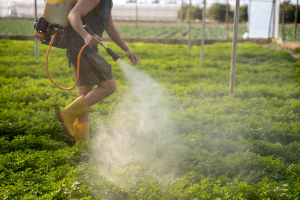 Best Pest Inspection Near Me  in Fairfax, CA