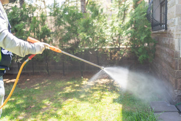 Best Pest Control Near Me  in Fairfax, CA