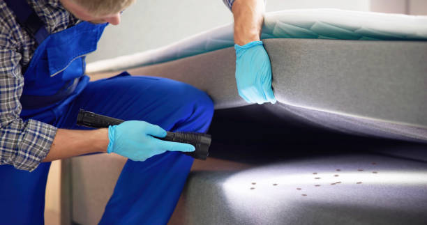 Best Affordable Pest Control Services  in Fairfax, CA