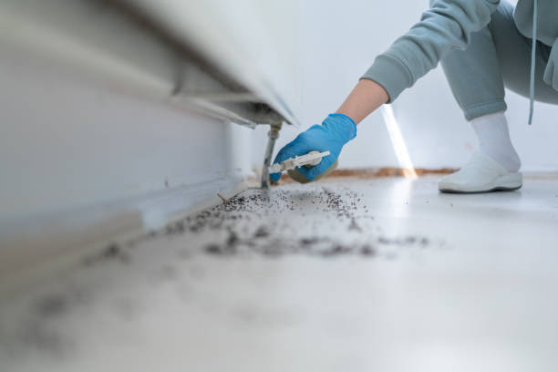 Pest Control for Restaurants in Fairfax, CA