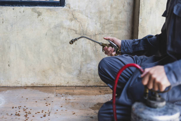 Professional Pest Control in Fairfax, CA
